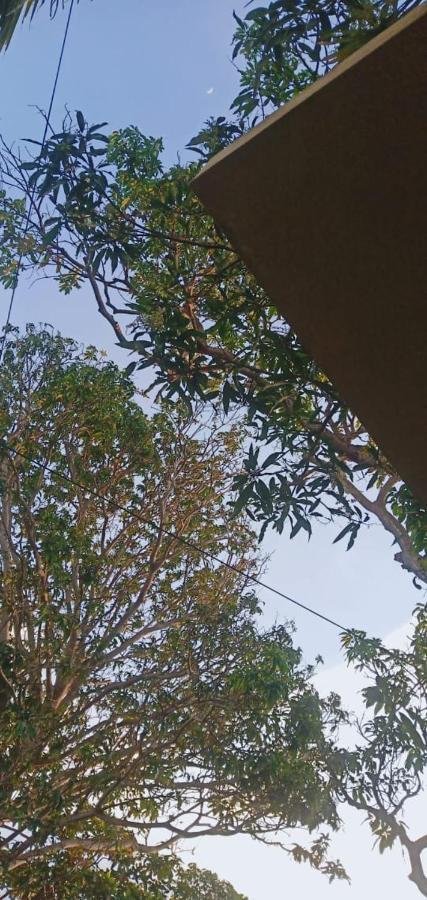 Petit Guest House Negombo Dış mekan fotoğraf
