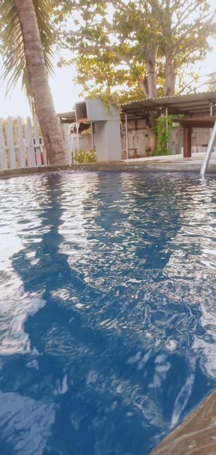 Petit Guest House Negombo Dış mekan fotoğraf