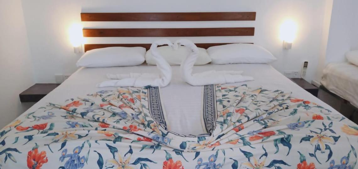 Petit Guest House Negombo Dış mekan fotoğraf