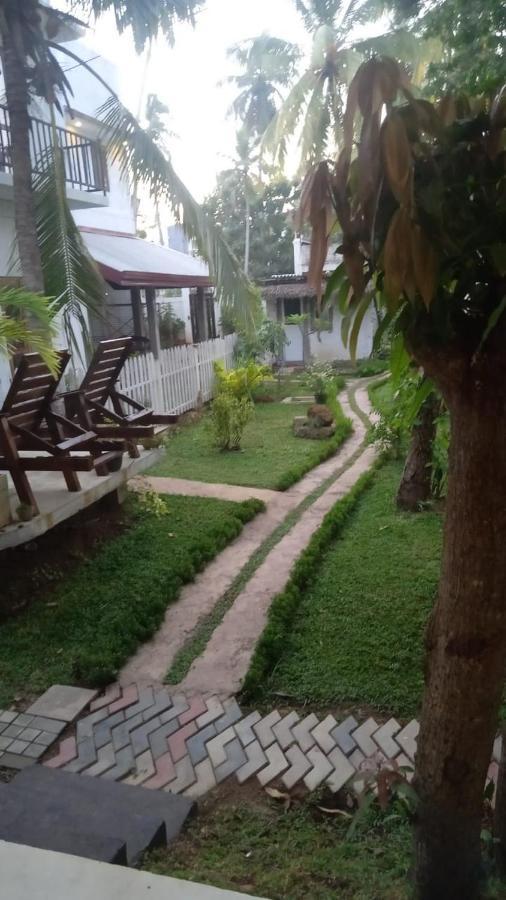 Petit Guest House Negombo Dış mekan fotoğraf